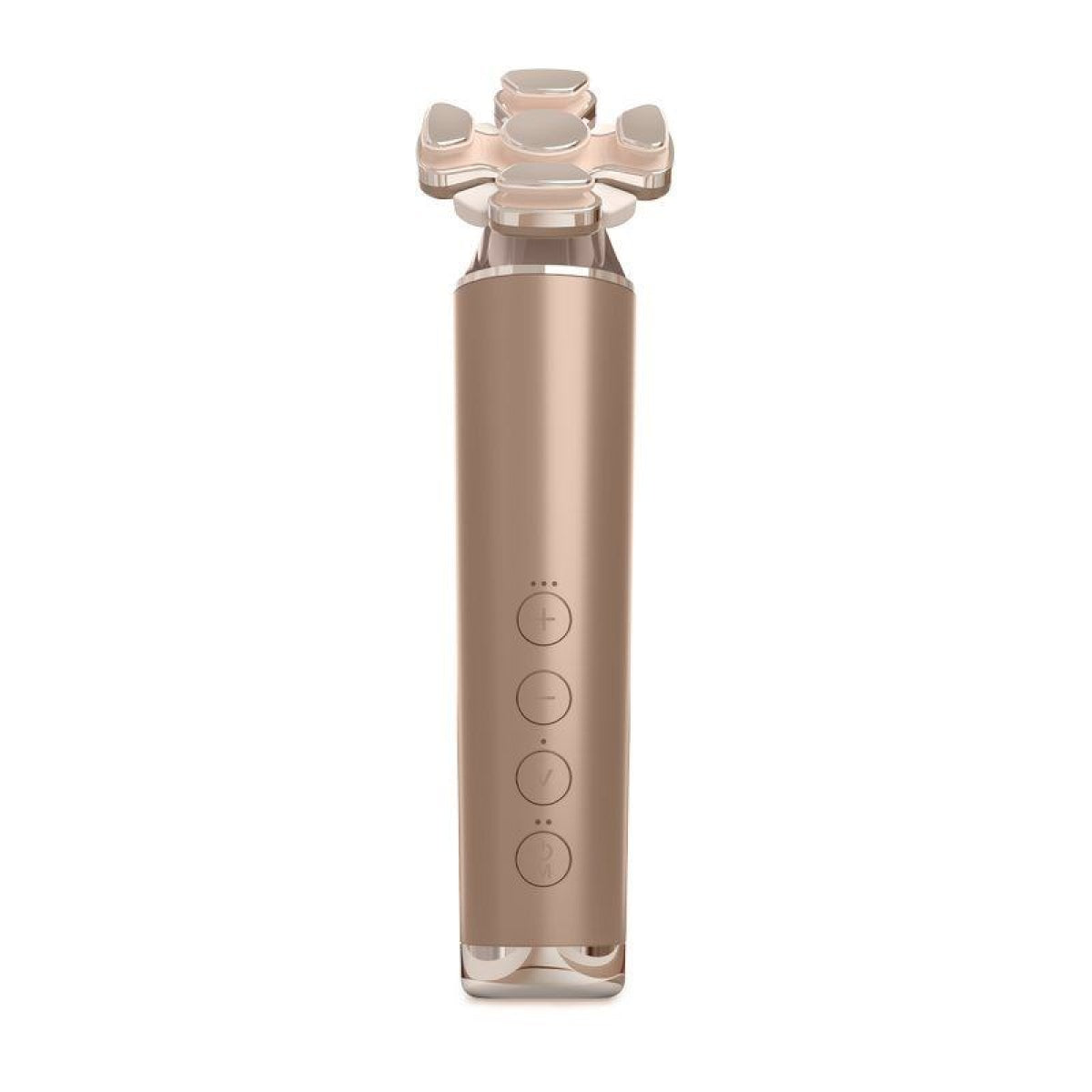 COULEUR LABO Zogankin Bloom
